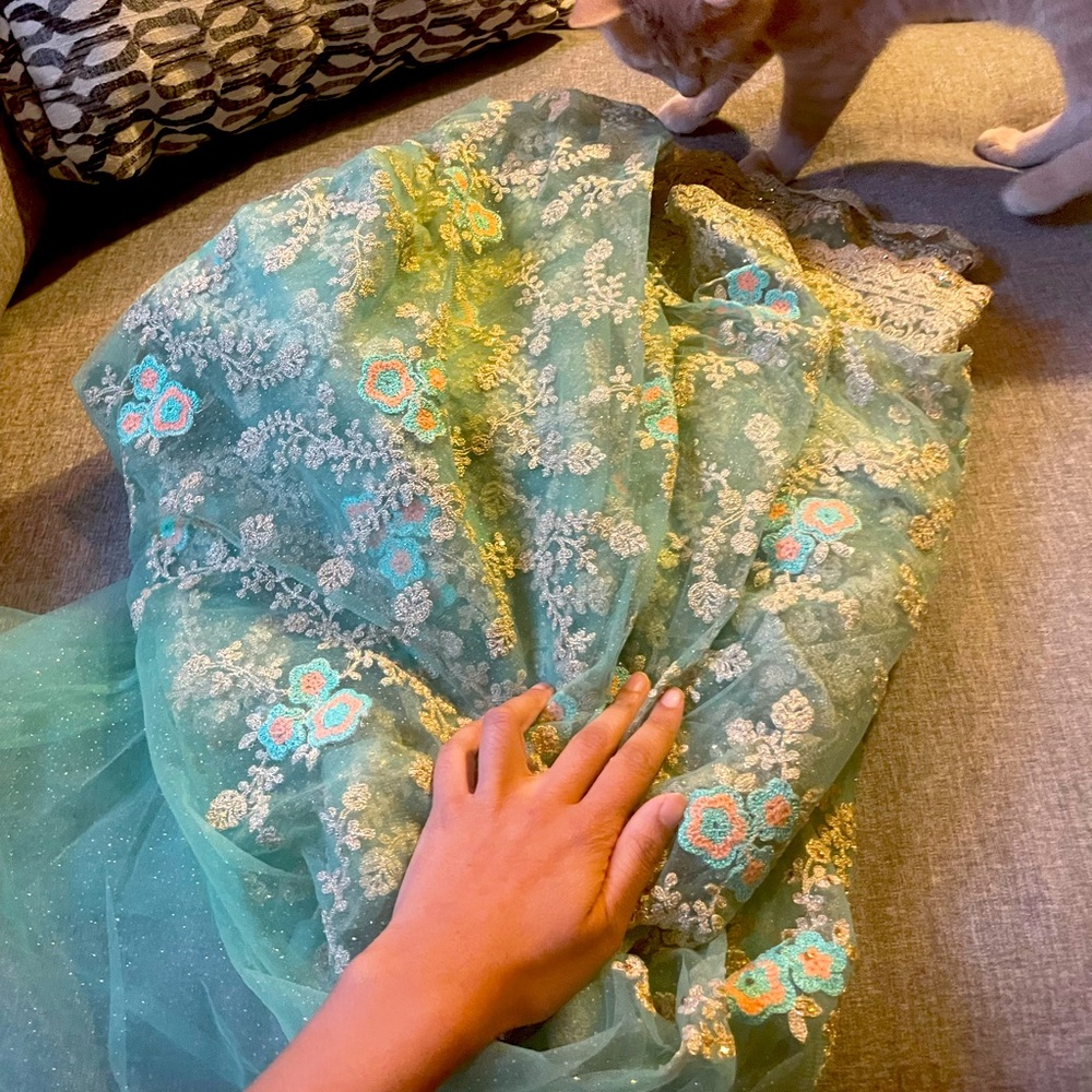 Mint green and gold mesh/organza saree sari with gold beads